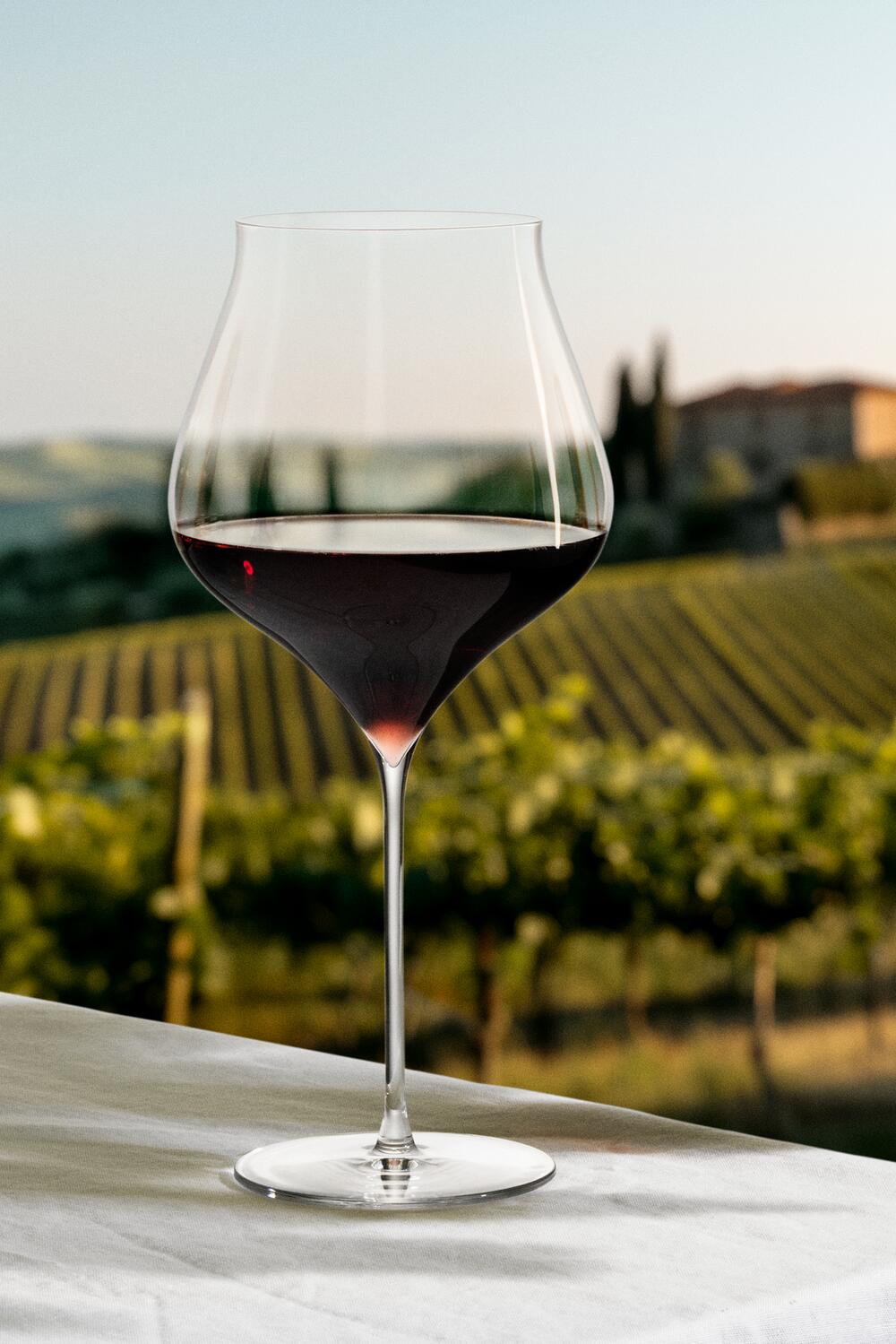 Notes bourgogneglas, 94 cl - 2 stk